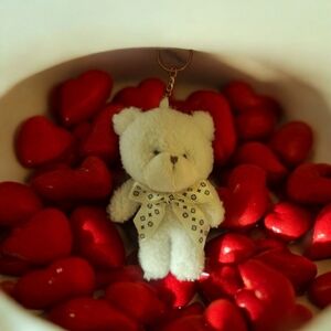 New Teddy Bear Keychain with  Bow